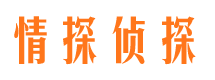 丰满市婚外情调查